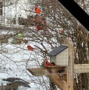 Meet your Posher, Marylan